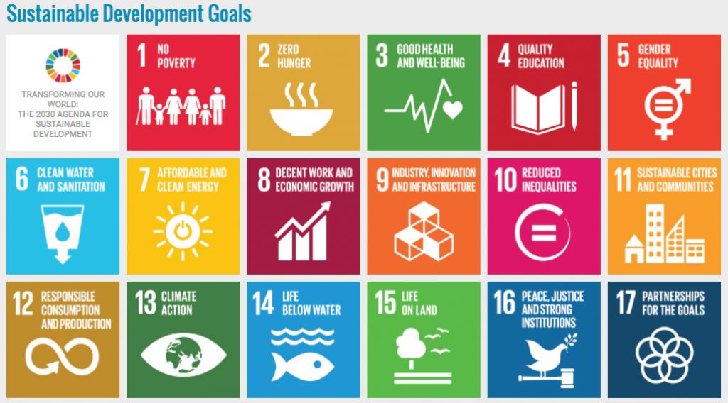 United Nations Developmen Goals